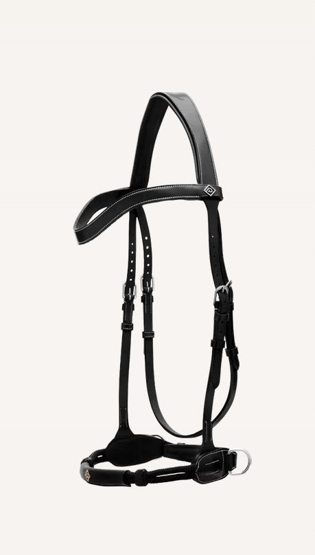 Ogłowie Dy'on bezwędzidłowe kolekcja Working