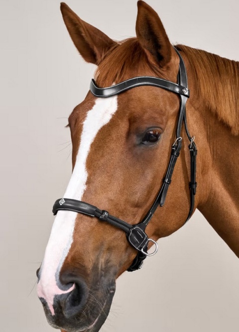 Ogłowie Dy'on bezwędzidłowe kolekcja Working