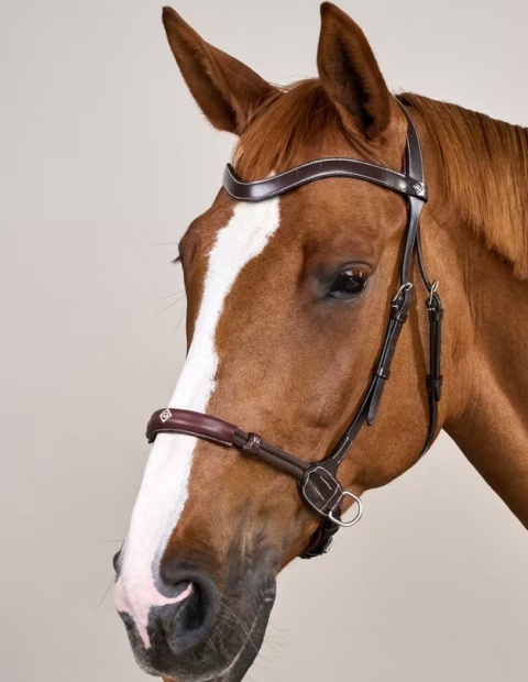Ogłowie Dy'on bezwędzidłowe kolekcja Working