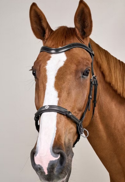 Ogłowie Dy'on bezwędzidłowe kolekcja Working