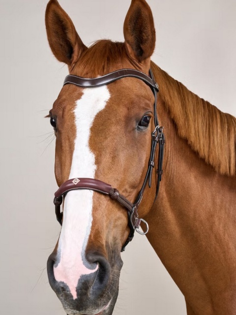 Ogłowie Dy'on bezwędzidłowe kolekcja Working