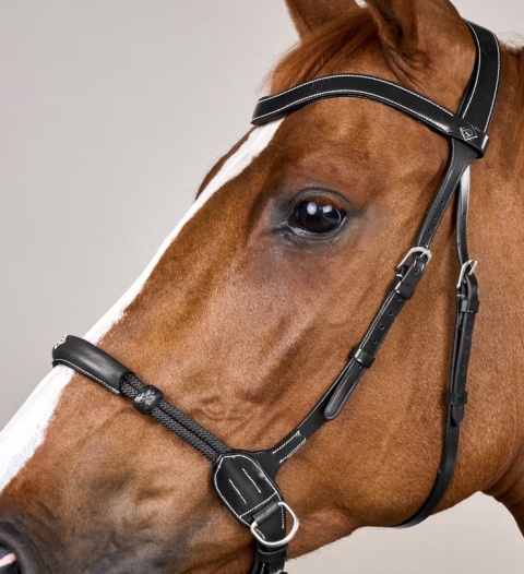 Ogłowie Dy'on bezwędzidłowe kolekcja Working