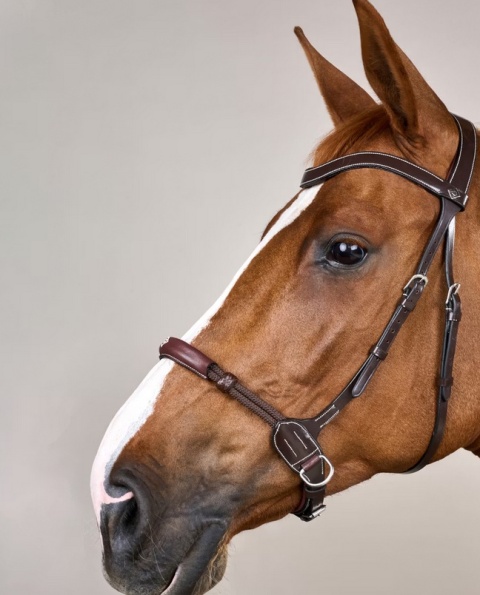 Ogłowie Dy'on bezwędzidłowe kolekcja Working