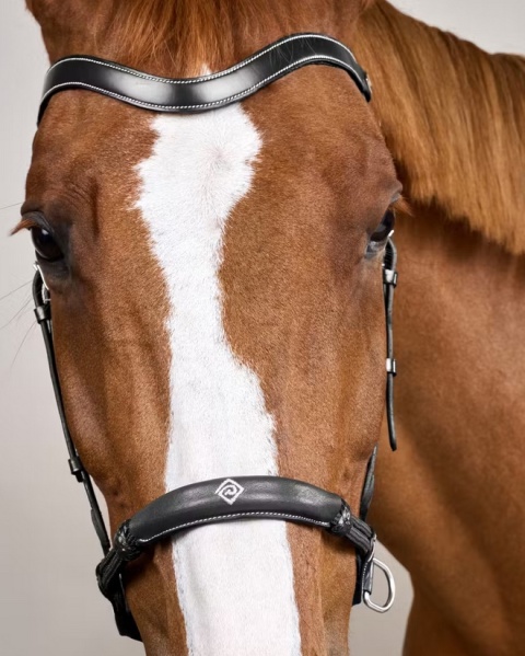 Ogłowie Dy'on bezwędzidłowe kolekcja Working