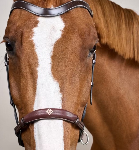Ogłowie Dy'on bezwędzidłowe kolekcja Working