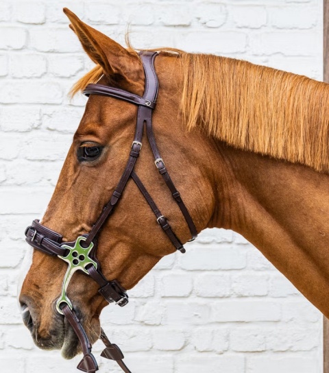 Ogłowie Dy'on do hackamore New English