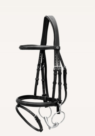 Ogłowie Dy'on z nachrapnikiem angielskim i haczykami Working