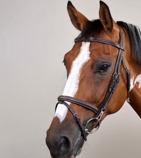 Ogłowie Dy'on z nachrapnikiem angielskim i haczykami Working