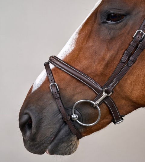 Ogłowie Dy'on z nachrapnikiem angielskim i haczykami Working