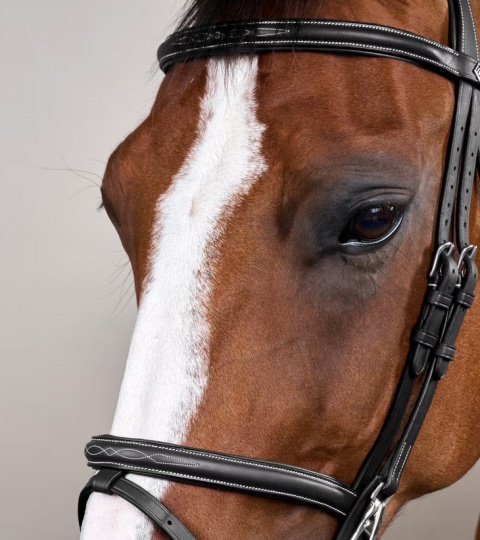 Ogłowie Dy'on z nachrapnikiem angielskim i haczykami Working