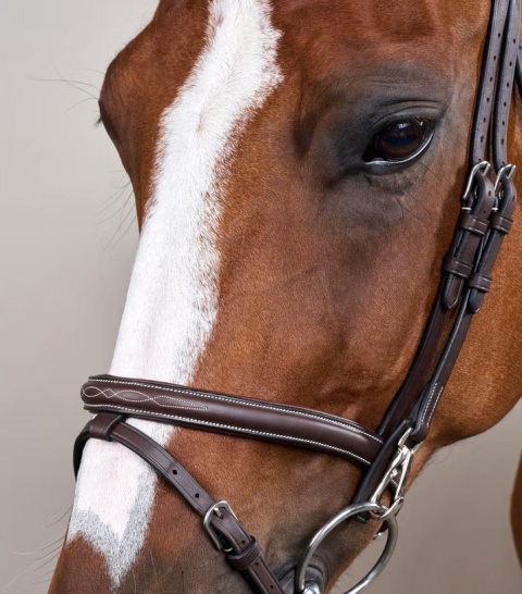 Ogłowie Dy'on z nachrapnikiem angielskim i haczykami Working