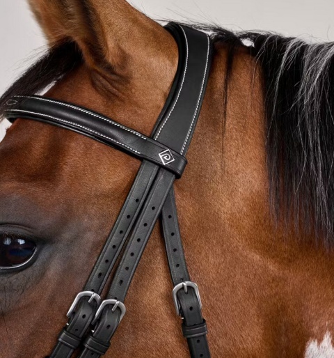 Ogłowie Dy'on z nachrapnikiem angielskim i haczykami Working