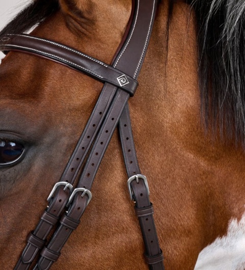 Ogłowie Dy'on z nachrapnikiem angielskim i haczykami Working