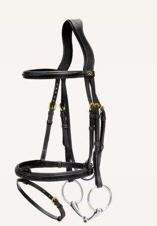 Ogłowie Dy'on z nachrapnikiem angielskim Flash D Collection