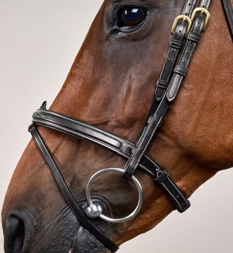 Ogłowie Dy'on z nachrapnikiem angielskim Flash D Collection