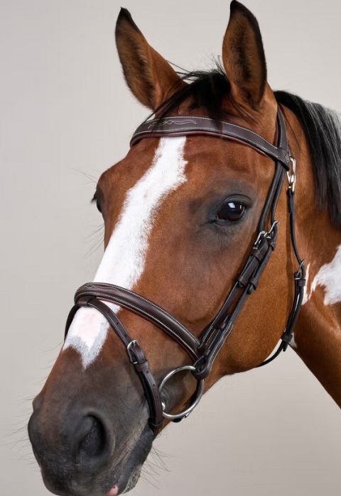 Ogłowie Dy'on z nachrapnikiem angielskim,skośnikiem i karabińczykiem