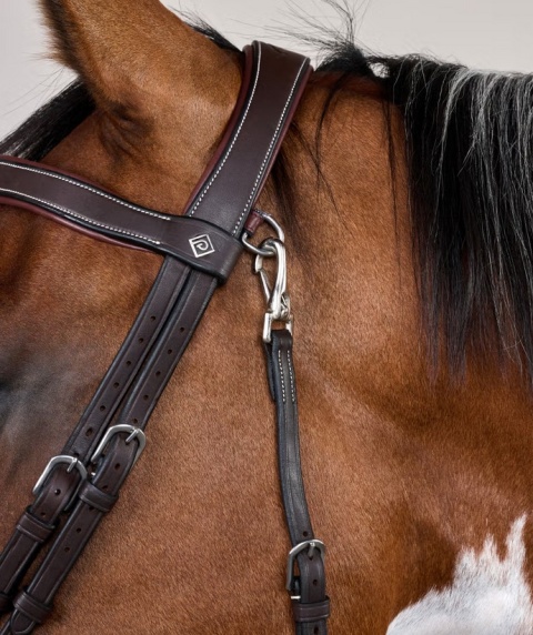 Ogłowie Dy'on z nachrapnikiem angielskim,skośnikiem i karabińczykiem