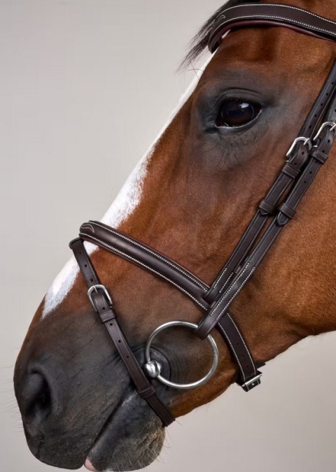 Ogłowie Dy'on z nachrapnikiem angielskim,skośnikiem i karabińczykiem