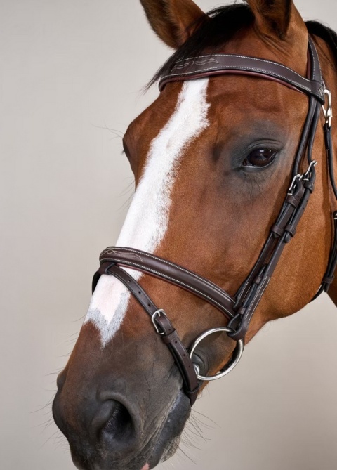 Ogłowie Dy'on z nachrapnikiem angielskim,skośnikiem i karabińczykiem