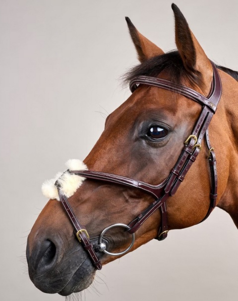 Ogłowie Dy'on z nachrapnikiem meksykańskim D Collection