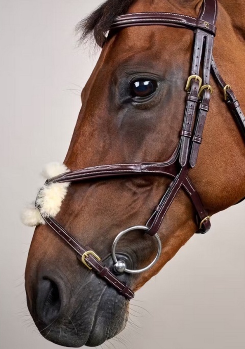 Ogłowie Dy'on z nachrapnikiem meksykańskim D Collection