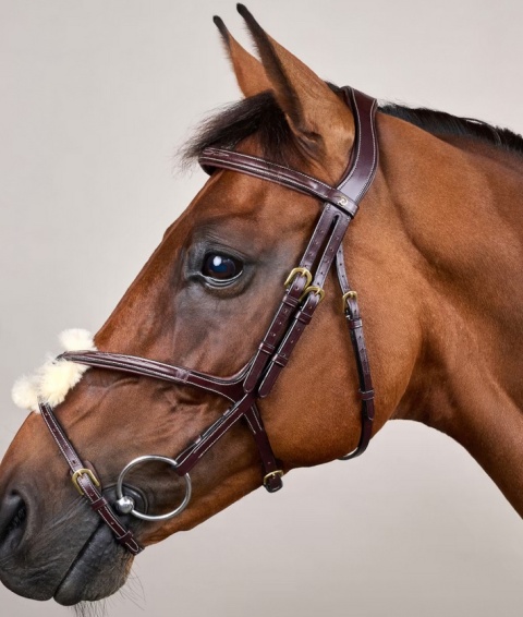 Ogłowie Dy'on z nachrapnikiem meksykańskim D Collection