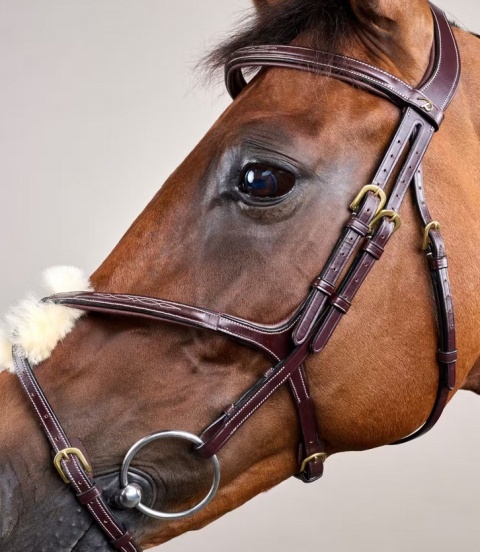 Ogłowie Dy'on z nachrapnikiem meksykańskim D Collection