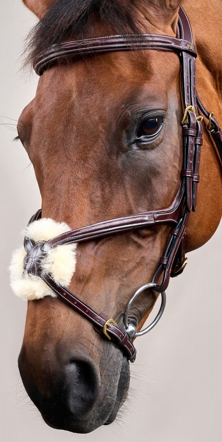 Ogłowie Dy'on z nachrapnikiem meksykańskim D Collection