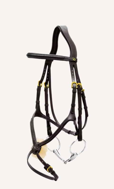 Ogłowie Dy'on z nachrapnikiem meksykańskim i plecionką D Collection