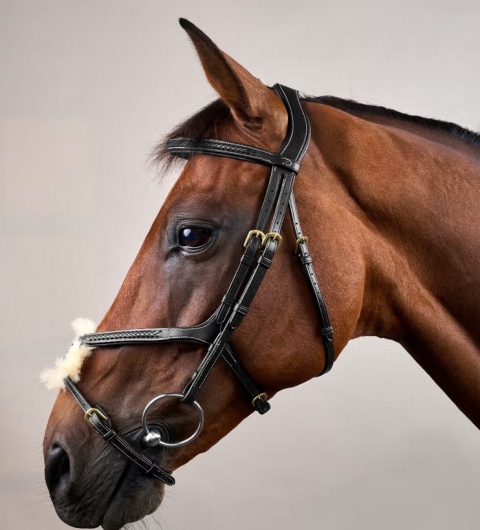 Ogłowie Dy'on z nachrapnikiem meksykańskim i plecionką D Collection