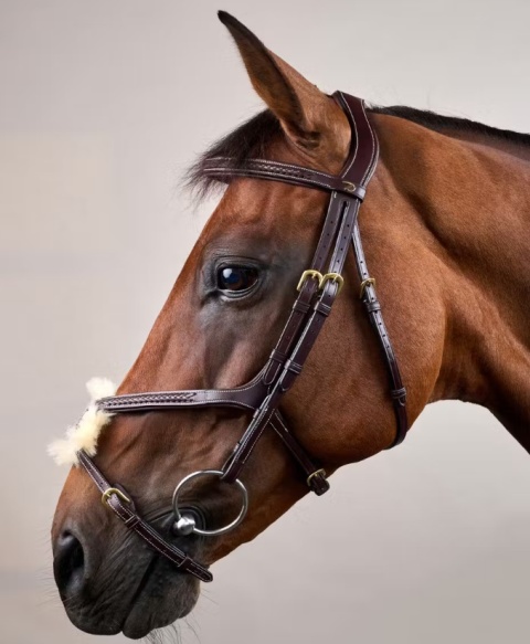 Ogłowie Dy'on z nachrapnikiem meksykańskim i plecionką D Collection