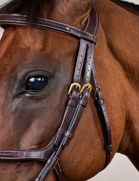 Ogłowie Dy'on z nachrapnikiem meksykańskim i plecionką D Collection