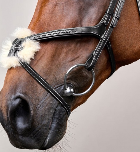 Ogłowie Dy'on z nachrapnikiem meksykańskim i plecionką D Collection