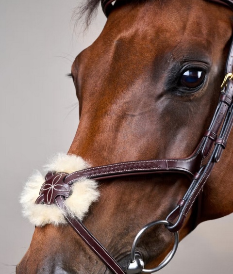 Ogłowie Dy'on z nachrapnikiem meksykańskim i plecionką D Collection