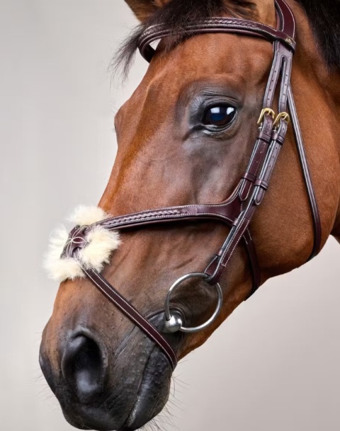 Ogłowie Dy'on z nachrapnikiem meksykańskim i plecionką D Collection