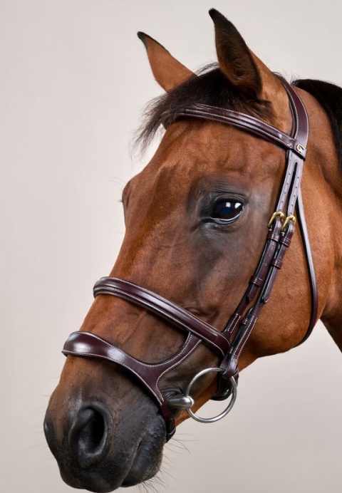 Ogłowie Dy'on z podwójnym nachrapnikiem D Collection