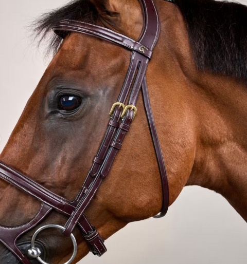 Ogłowie Dy'on z podwójnym nachrapnikiem D Collection