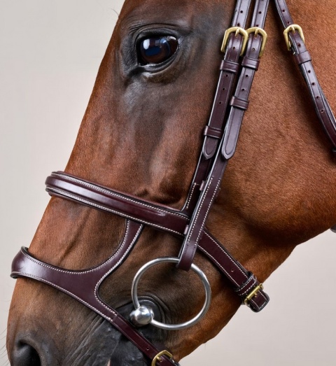 Ogłowie Dy'on z podwójnym nachrapnikiem D Collection