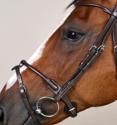 Ogłowie Dy'on z rurkowym nachrapnikiem angielskim Working