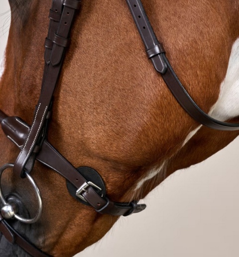 Ogłowie Dy'on z rurkowym nachrapnikiem angielskim Working