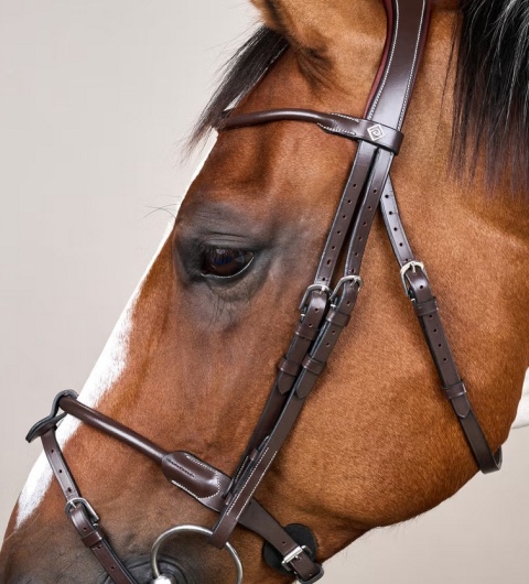 Ogłowie Dy'on z rurkowym nachrapnikiem angielskim Working