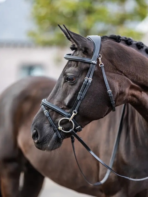 Ogłowie LeMieux Kudos Work Bridle
