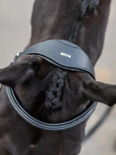 Ogłowie LeMieux Kudos Work Bridle