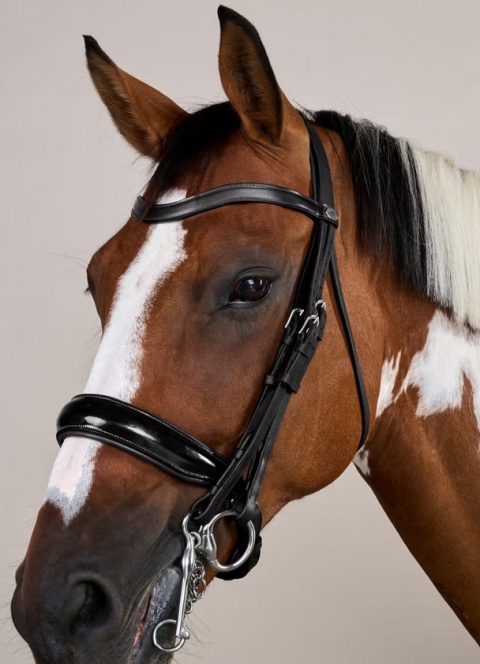 Ogłowie munsztukowe Dy'on z nachrapnikiem szwedzkim Working