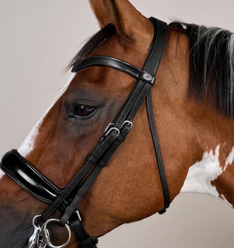 Ogłowie munsztukowe Dy'on z nachrapnikiem szwedzkim Working