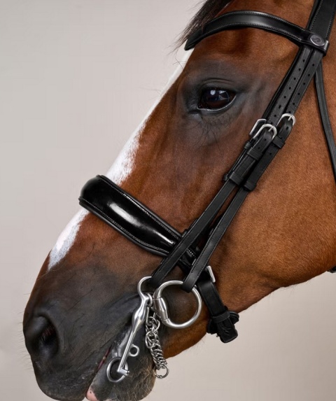 Ogłowie munsztukowe Dy'on z nachrapnikiem szwedzkim Working