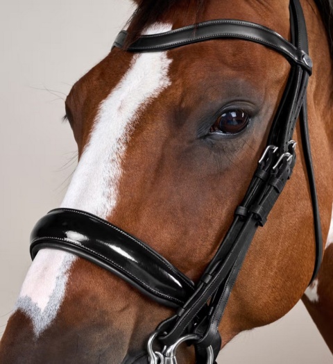 Ogłowie munsztukowe Dy'on z nachrapnikiem szwedzkim Working