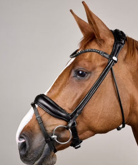 Ogłowie rurkowe Dy'on ComfoHead Working