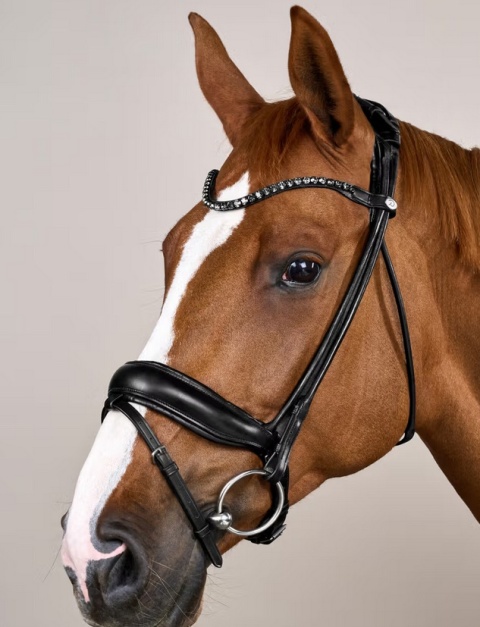 Ogłowie rurkowe Dy'on ComfoHead Working