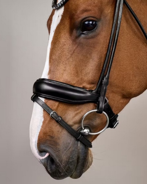 Ogłowie rurkowe Dy'on ComfoHead Working